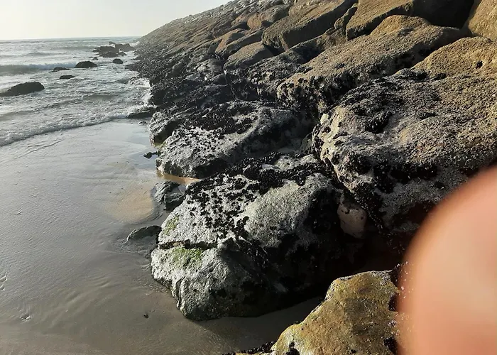 Sol E Mar