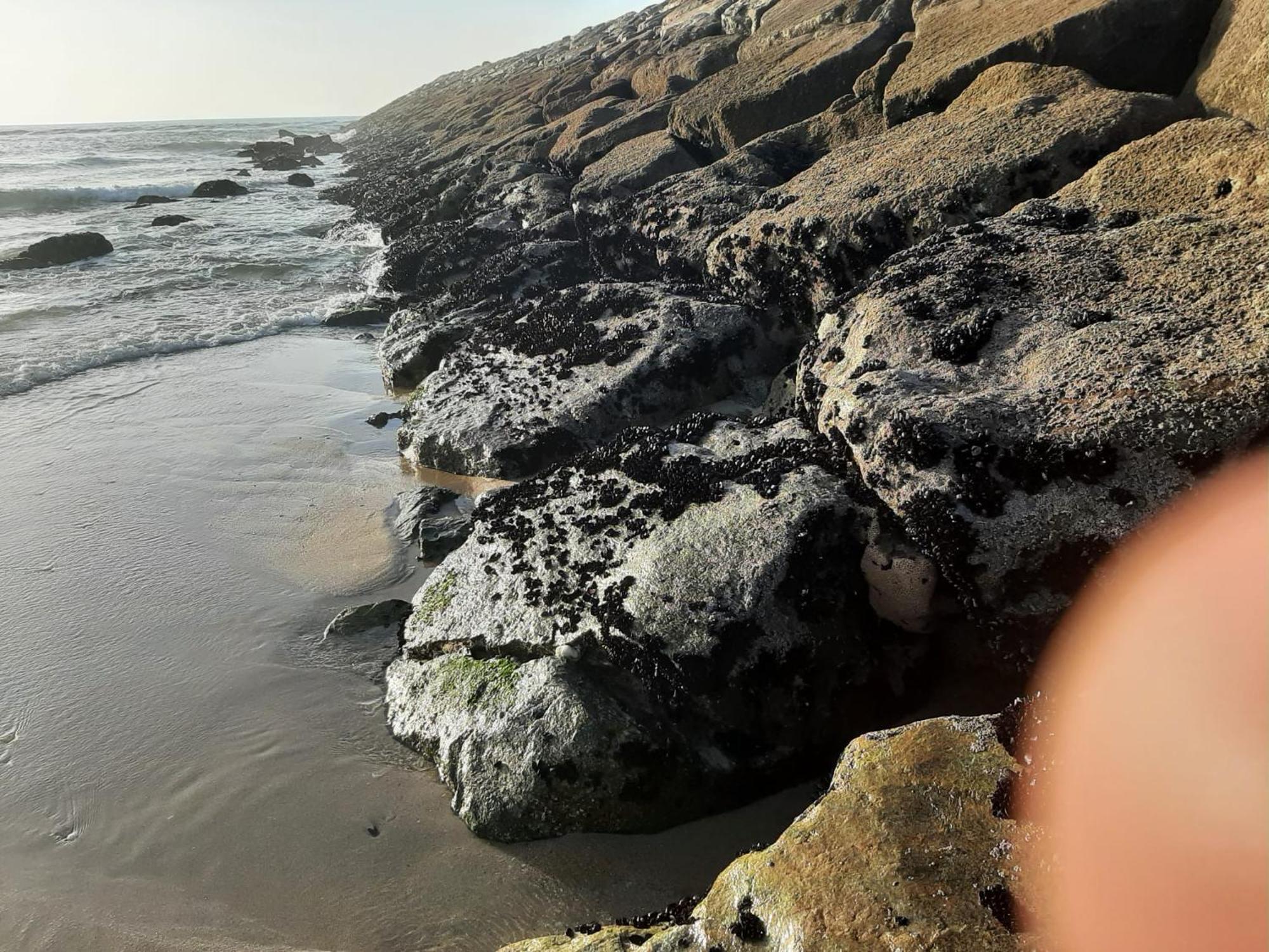 Sol E Mar Appartamento Esmoriz