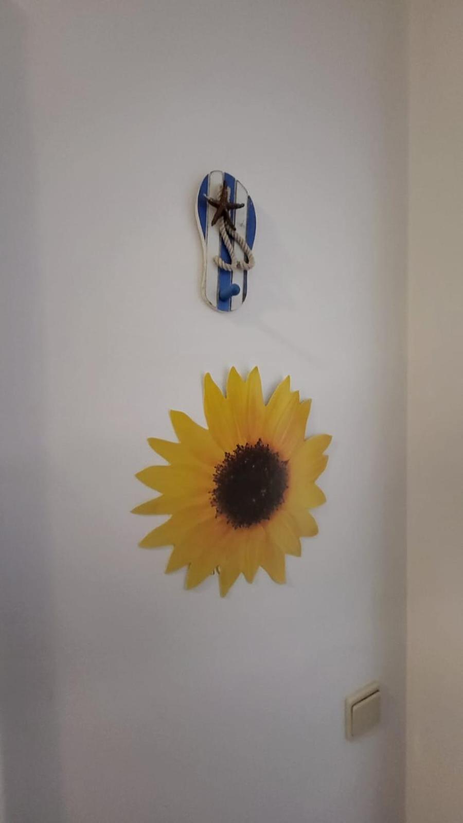 Sol E Mar *